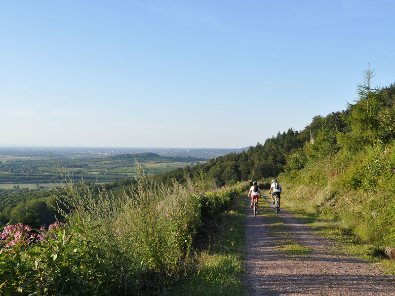 Aktiv in Friesenheim unterwegs