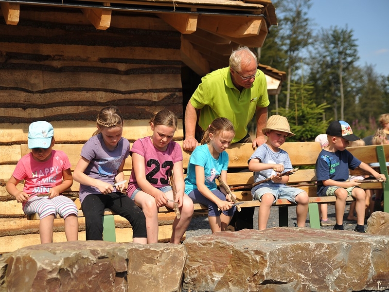 Waldpädagogik Wisent Wildnis Schnitzen