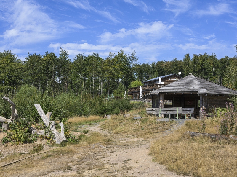 Abenteuerspielplatz Wisent-Wildnis