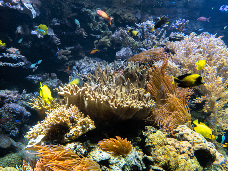 Zoo Duisburg Unterwasserwelten, Duisburg