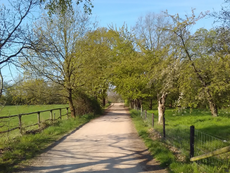 Kappesweg, Naturpark Rheinland