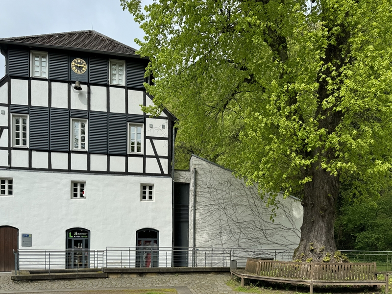 Papiermuseum Alte Dombach