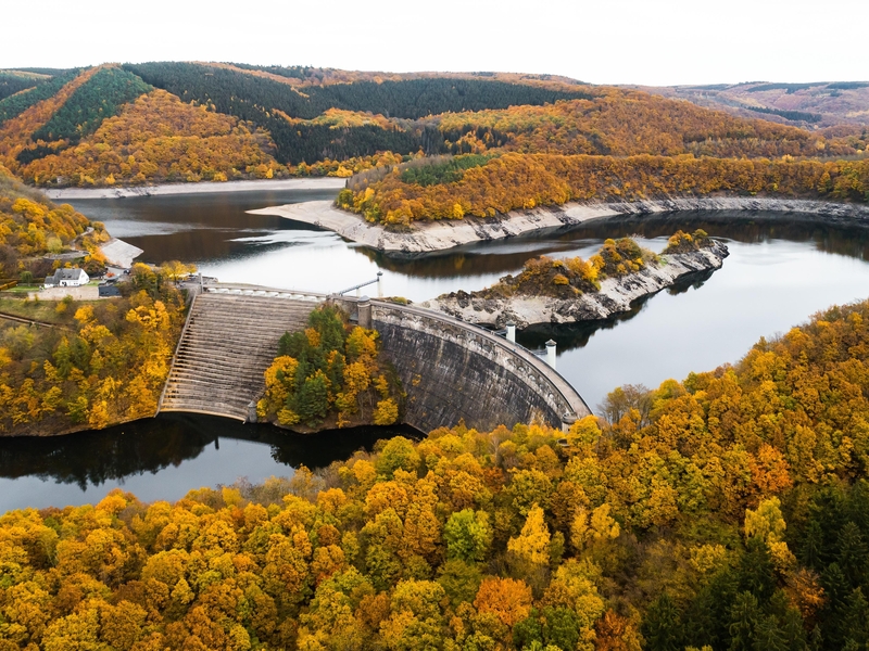 Herbst im Nationalpark Eifel, Urfttalsperre