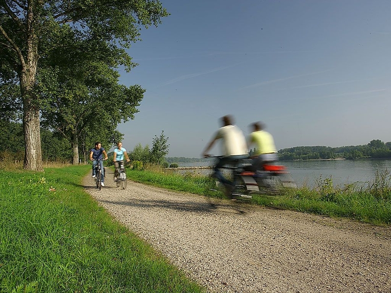 The Rhine Cycle Route between Worms and Bingen