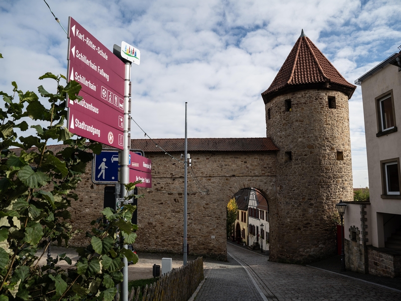Stadtmauer mit Stadttor