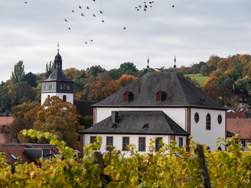 Kirchheimbolanden