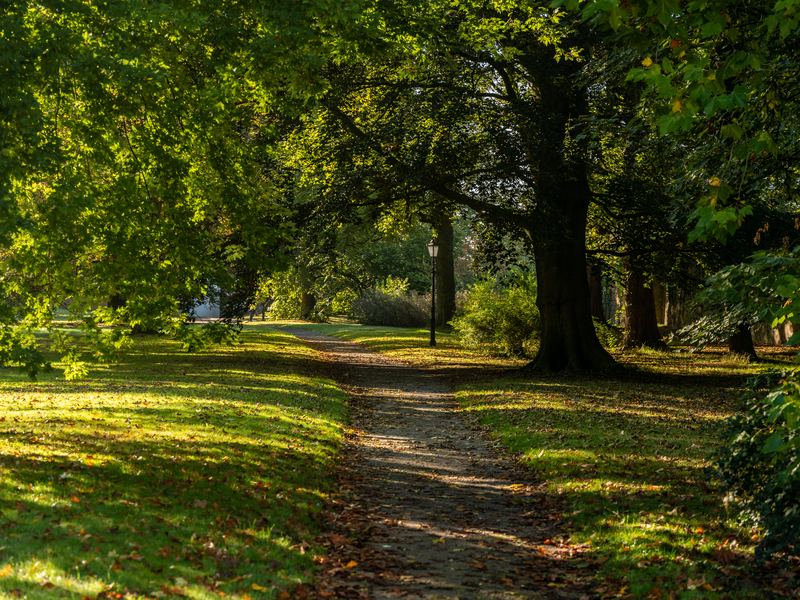 Schloss Cappenberg Schlosspark