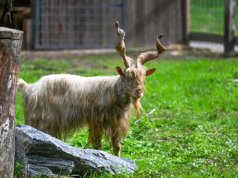 reken-wildpark-frankenhof-02