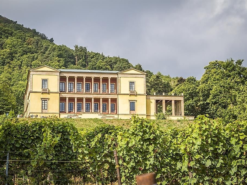 Außenansicht mit Weinbergen
