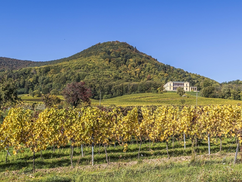 Villa Ludwigshöhe bei Herbst
