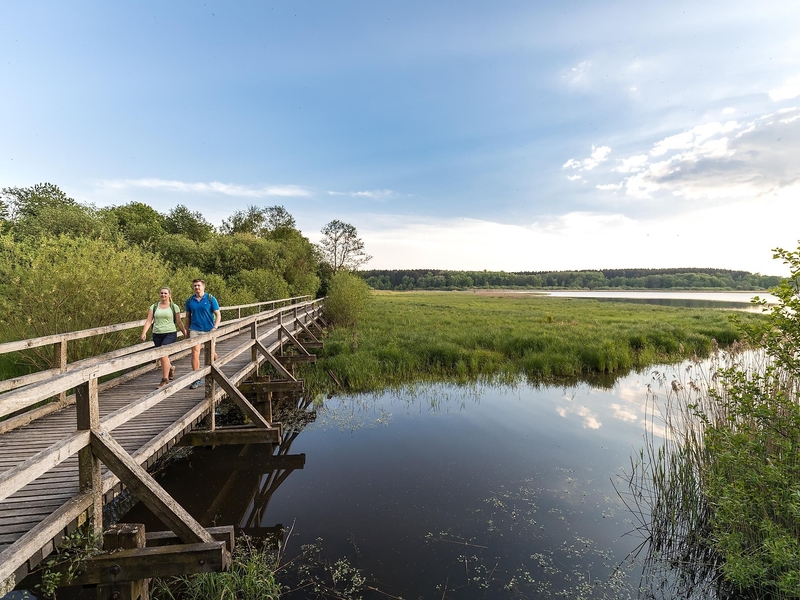 Brücke am Dreifelder Weiher