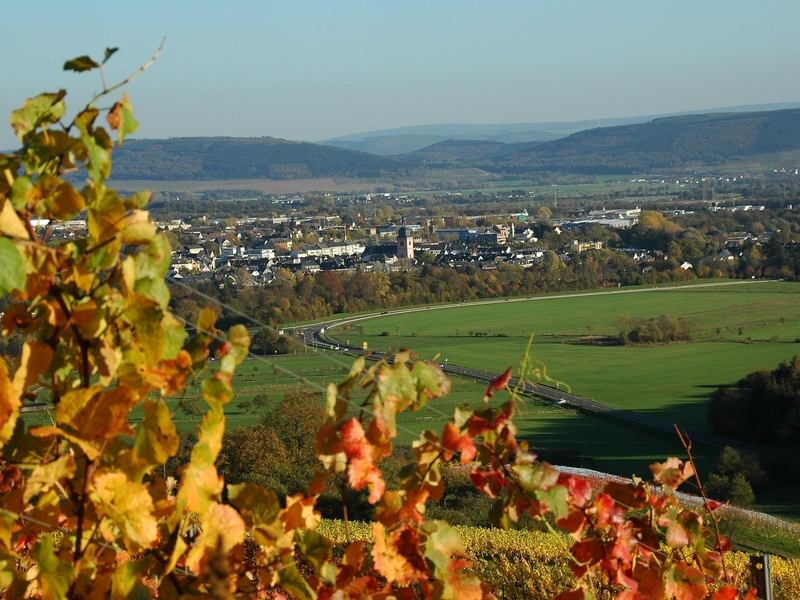 Blick auf Wittlich und das Wittlicher Land
