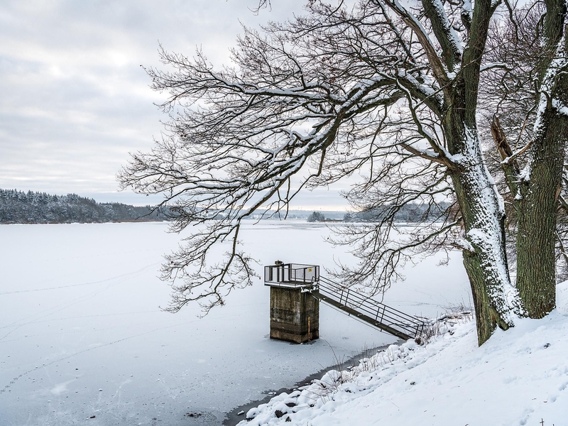 Winter am Dreifelder Weiher