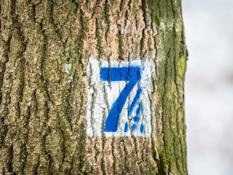 7 Weiher Wanderweg