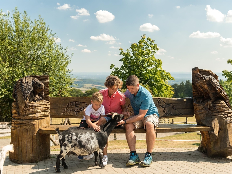 Spaß für Groß und Klein im Wildpark Potzberg