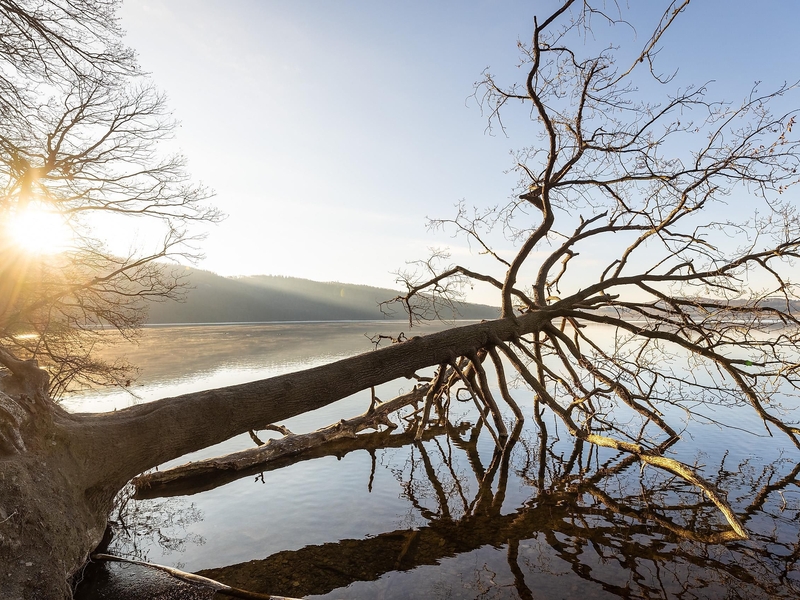 Mystische Stimmung, Sonnenaufgang am Laacher See