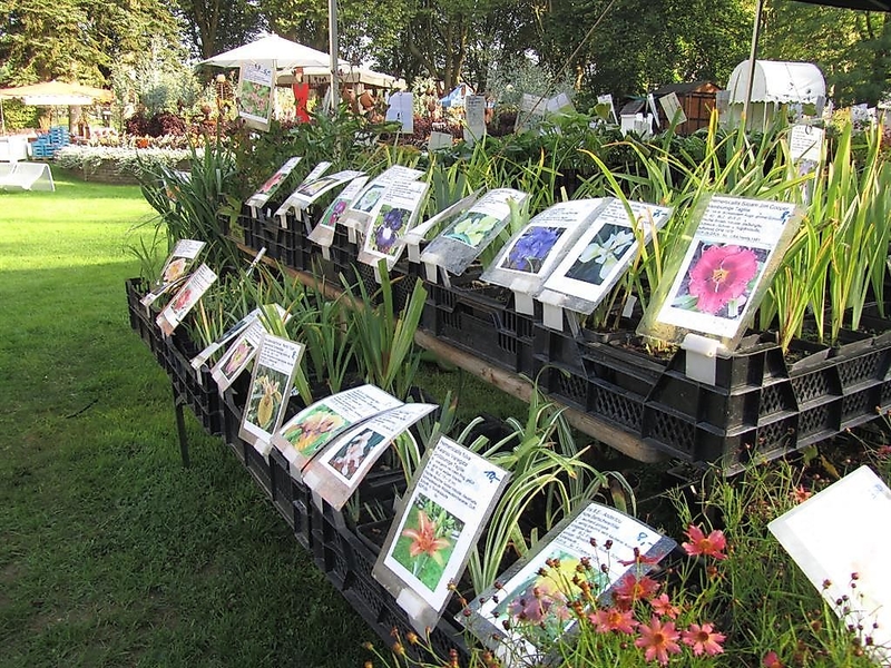 Herbst- Gartenmarkt Rosengarten Zweibrücken
