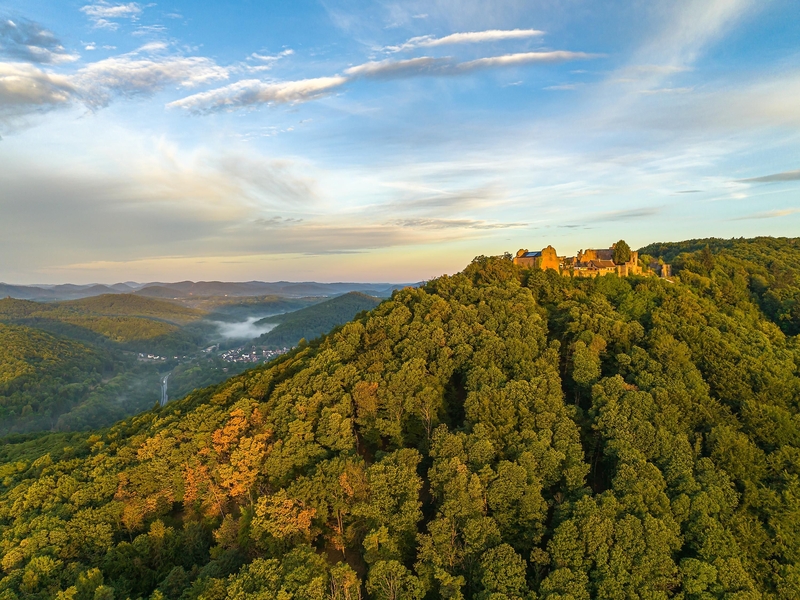 Madenburg auf dem Rothenberg