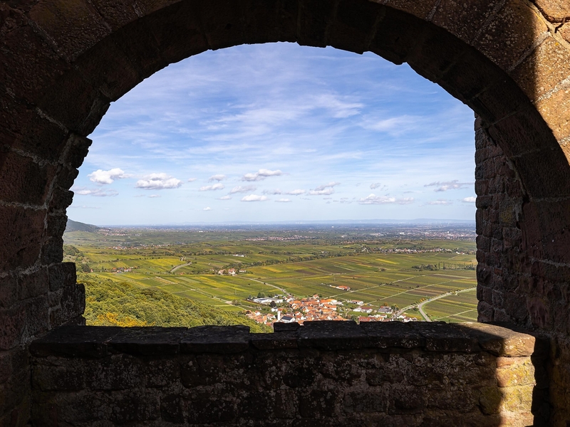 Blick auf Eschbach und das Weinland Pfalz
