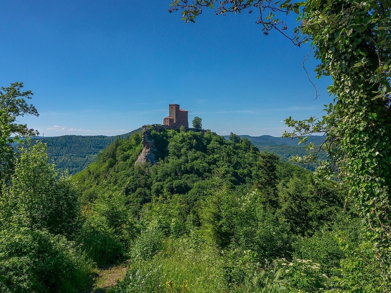 Trifels vom Annweilerer Burgenweg