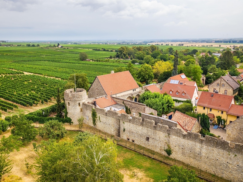 Die Fleckenmauer