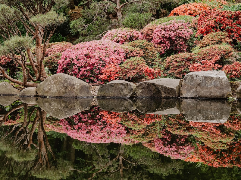 Japanischer Garten -