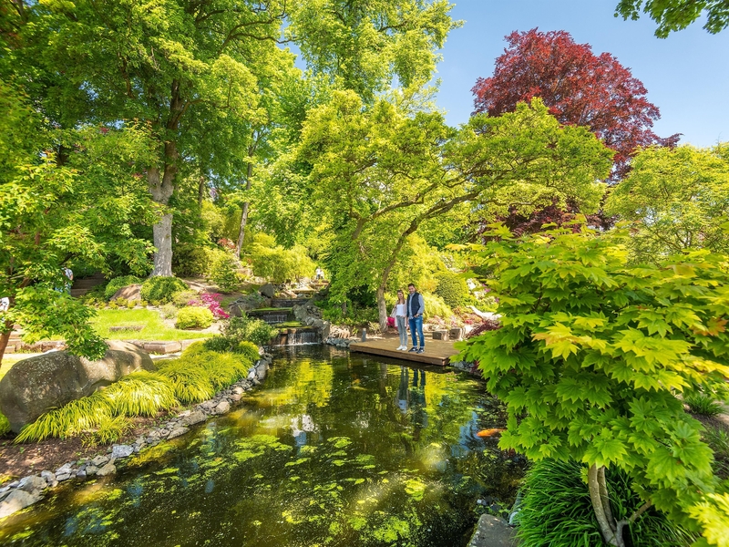 Japanischer Garten.