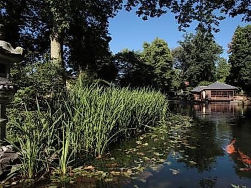 Oberer Teich mit Kois