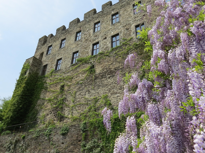 Burg aus einer anderen Perspektive