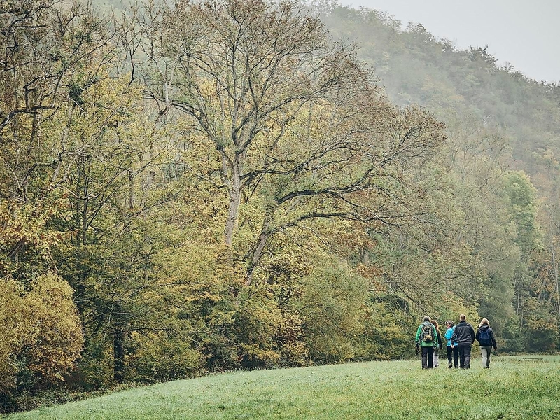 Wandern im Elzbachtal