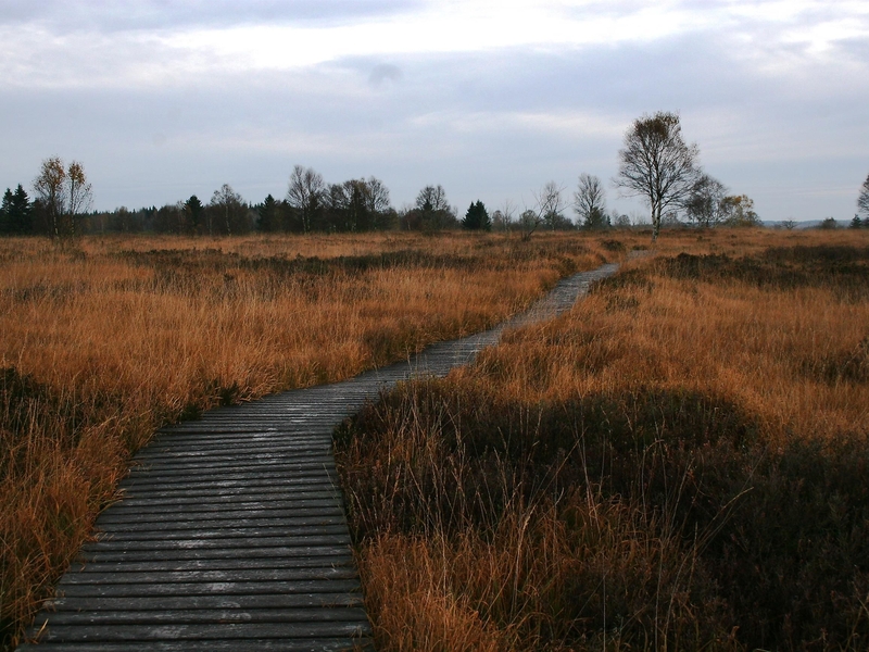 Herbst Morgen