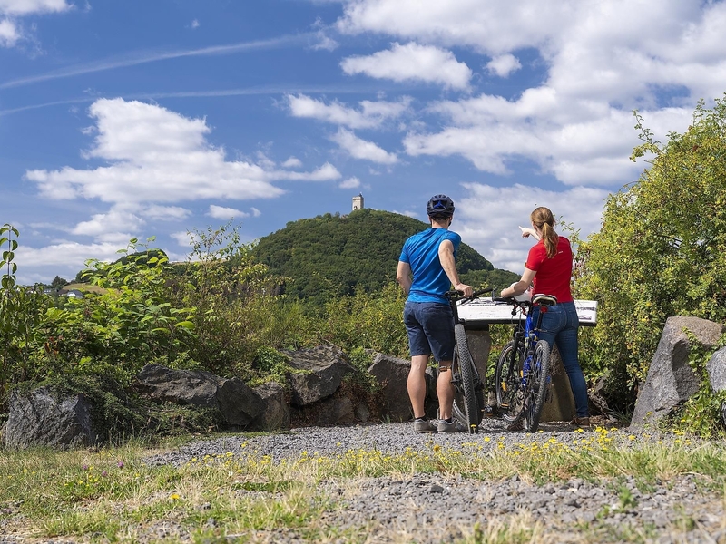 Blick auf die Burg Olbrück