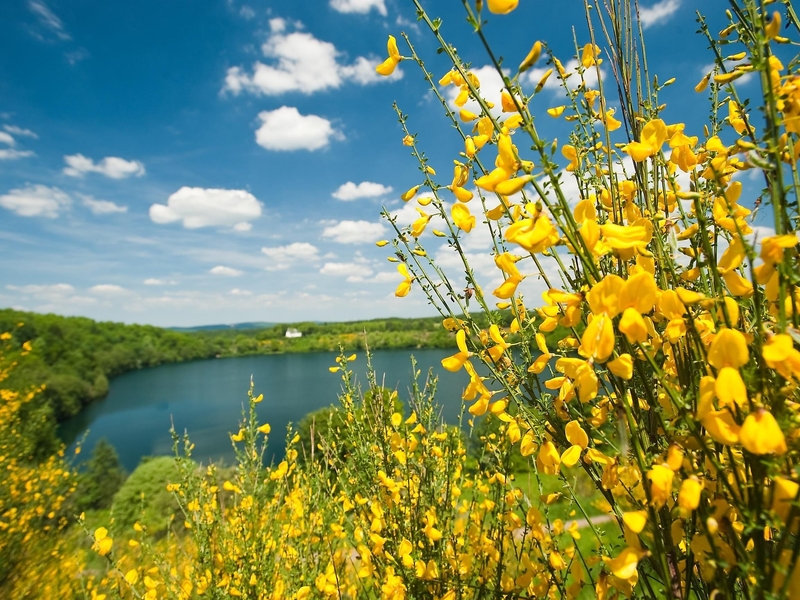 Weinfelder Maar