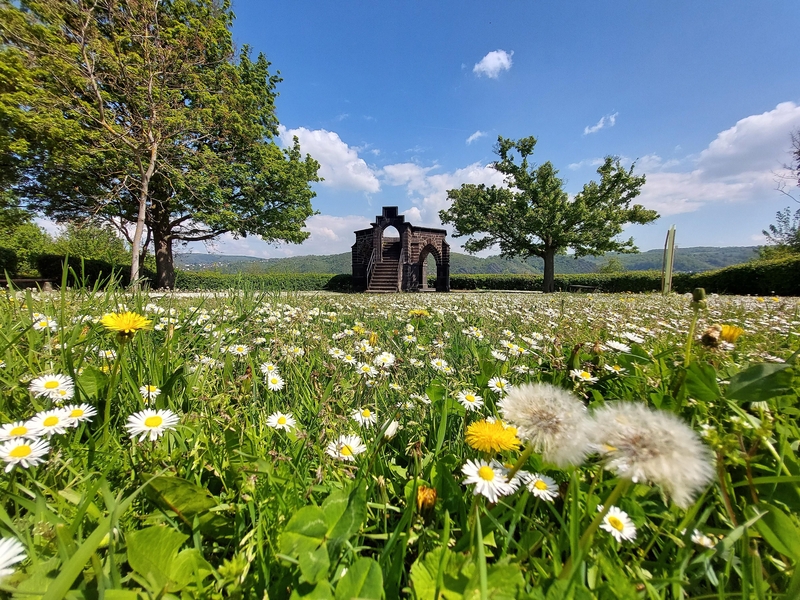 Königsstuhl Frühling