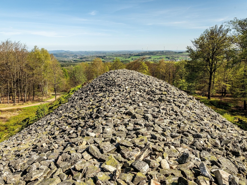 Keltischer Ringwall