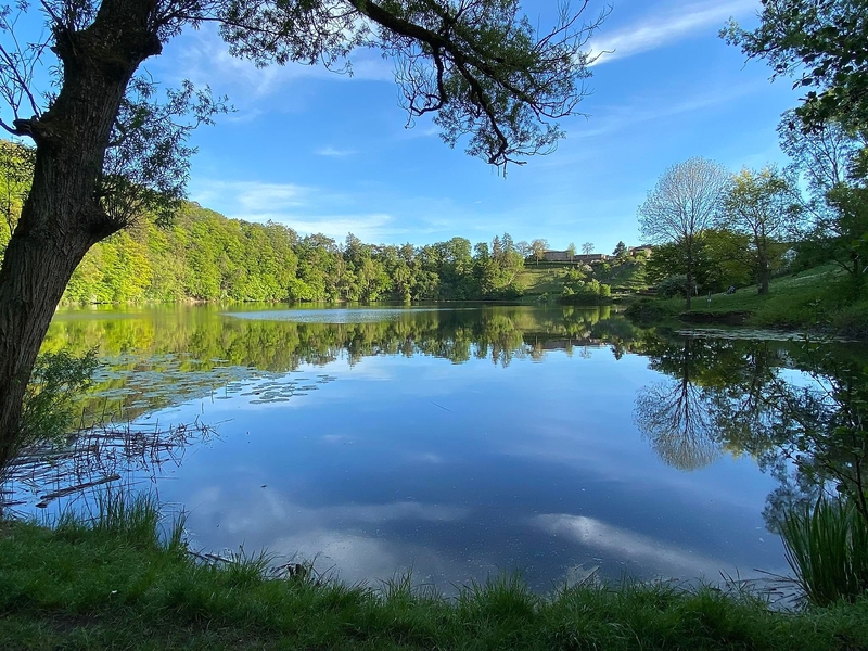 Blick auf das Ulmener Maar