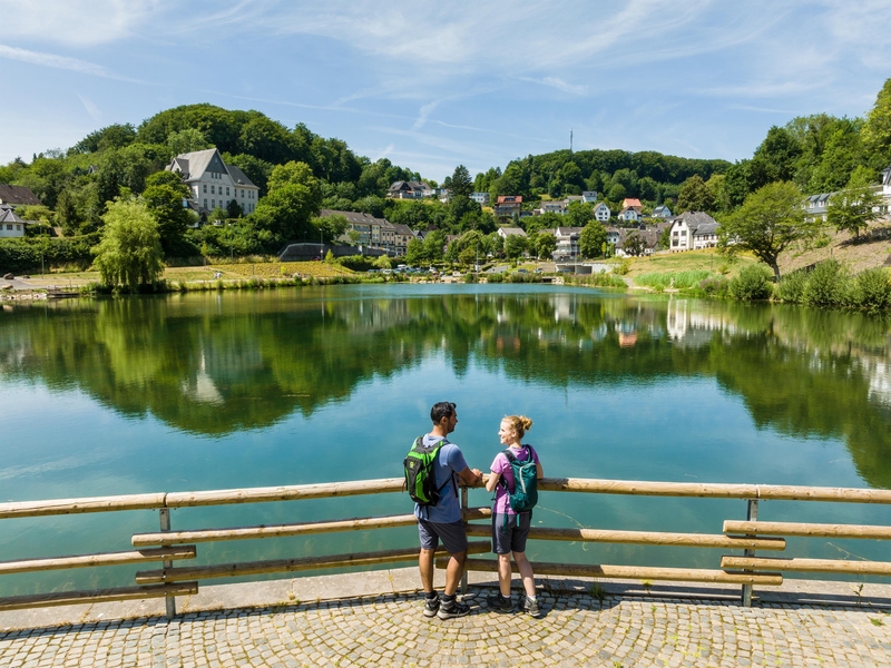 Schwanenweiher in Blankenheim