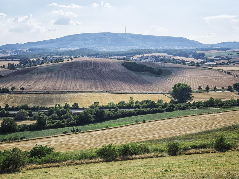 Blick vom Hungerberg zum Donnersberg