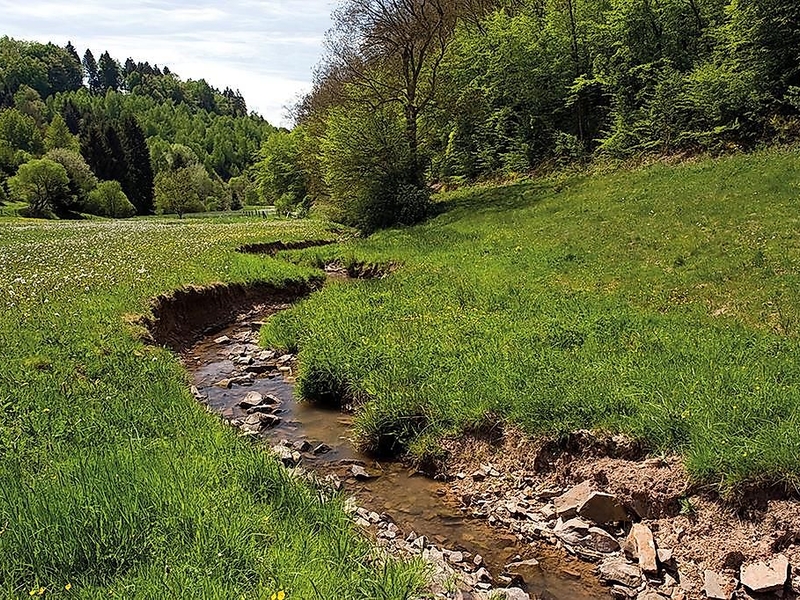 Naturpark Südeifel - Prümtalweg