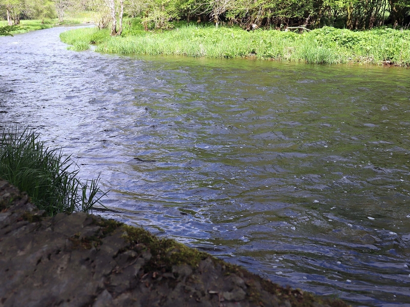 Naturpark Südeifel - Grenzfluss Our