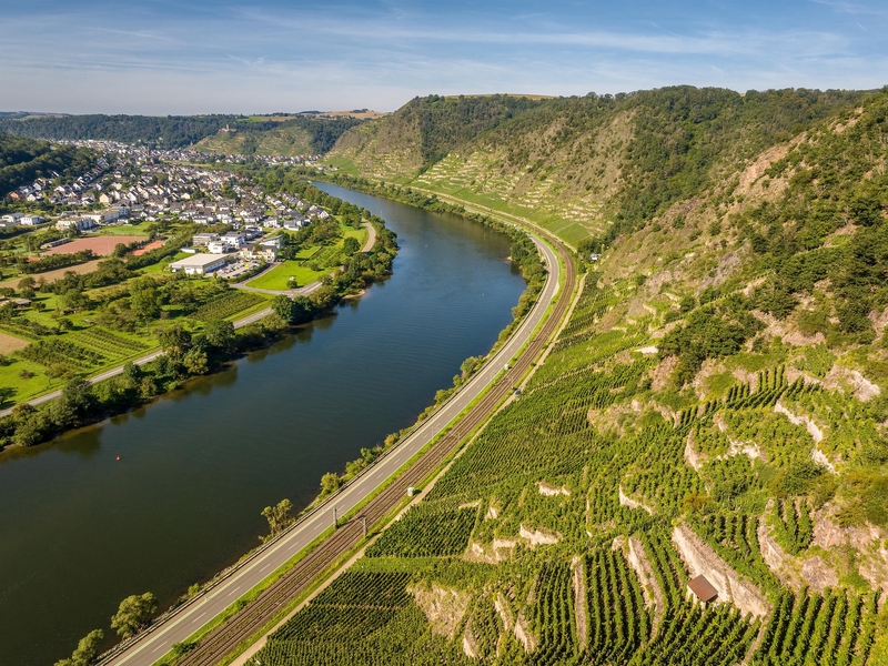 Steillage Winninger Uhlen.