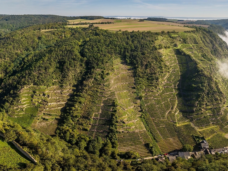 Steillagen in Kobern-Gondorf