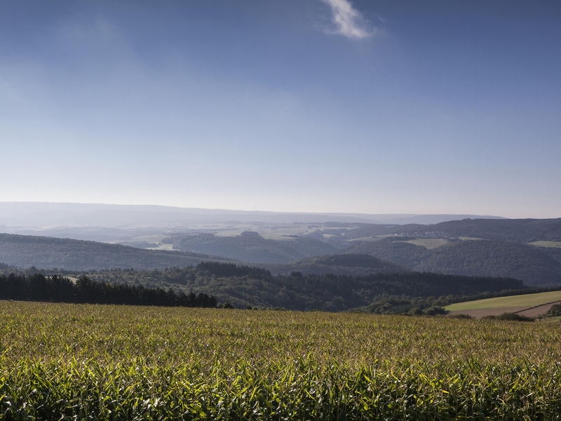 Landschaft bei Morbach