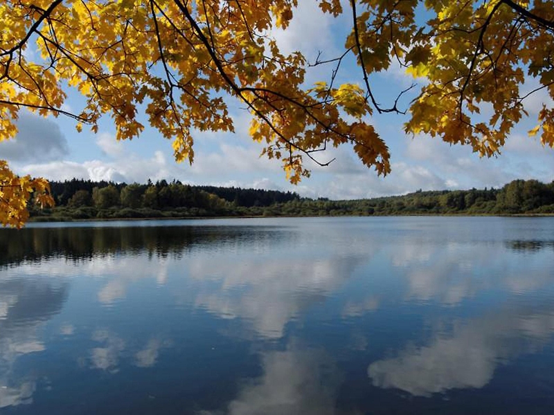 Haidenweiher