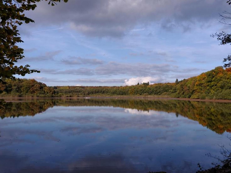 Brinkenweiher