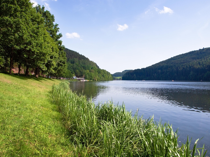 Stausee Ufer