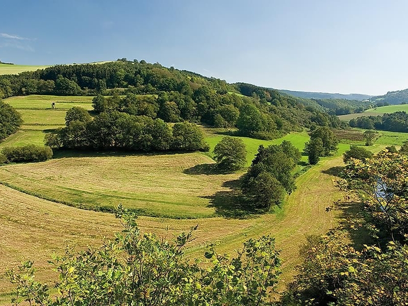 Naturpark Südeifel - NaturWanderPark