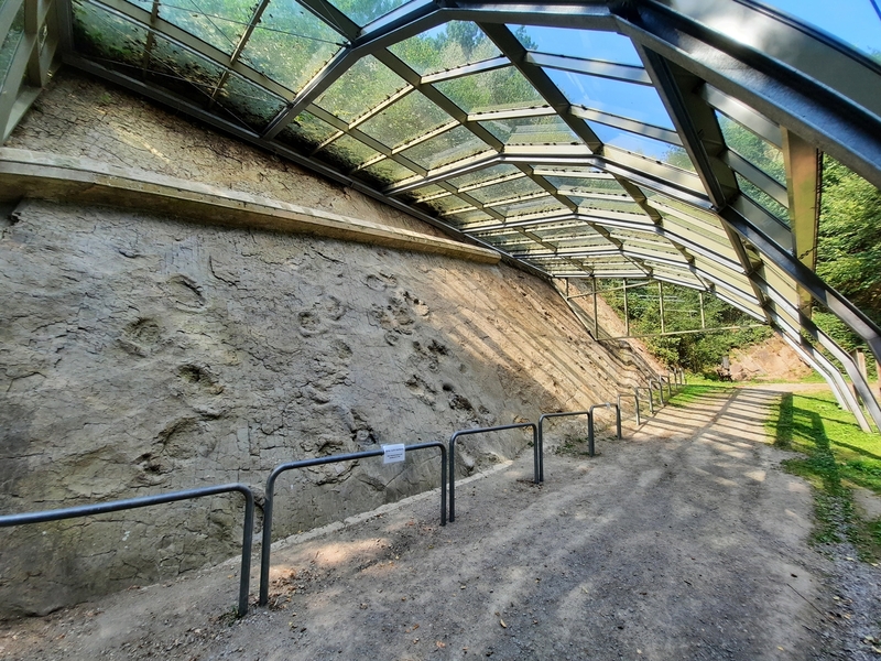 Saurierfährten Bad Essen/Barkhausen