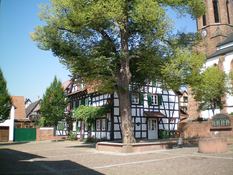At Plätzel Kandel, half-timbered houses and St. George's Church