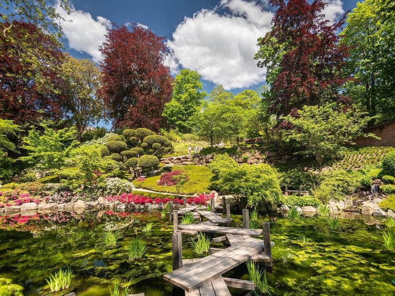 Japanischer Garten..